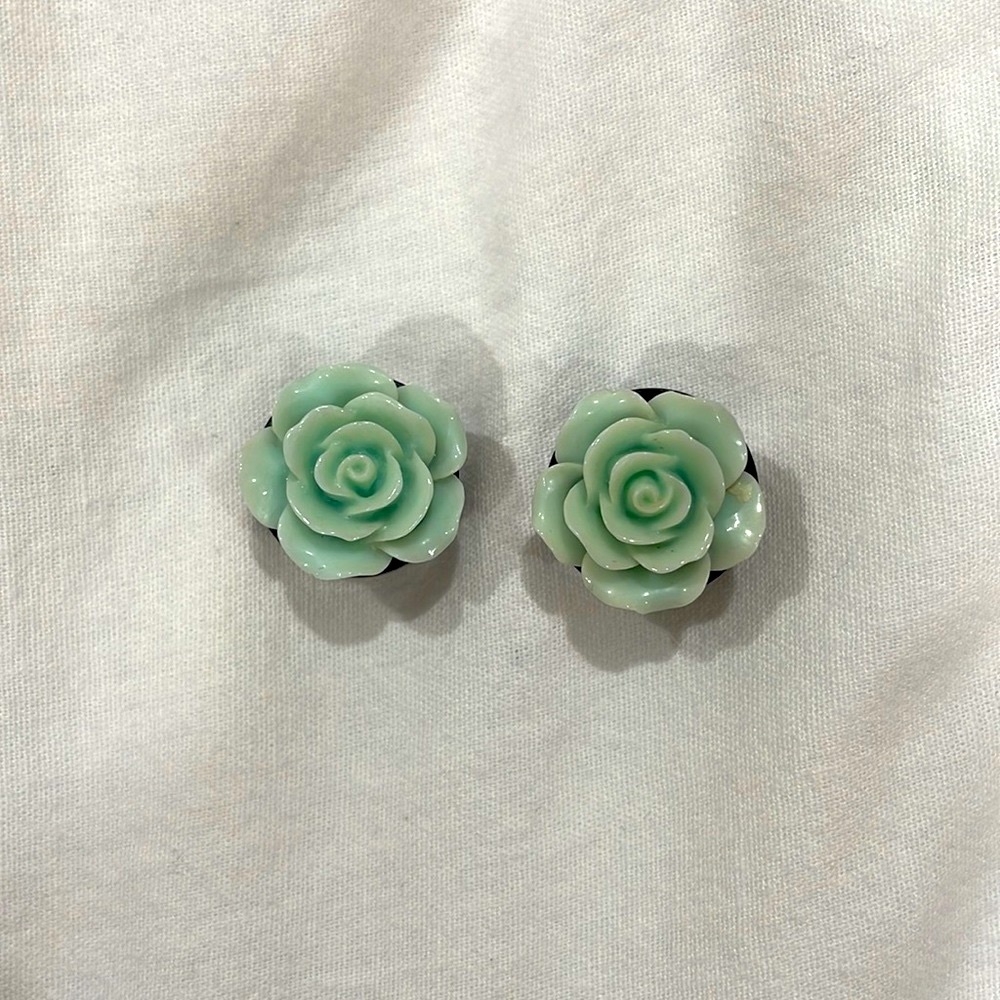 3/4 mint green rose gauges